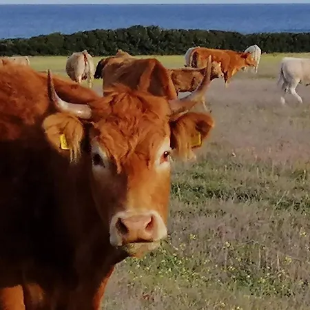 Fattoria Di Anja E Marco