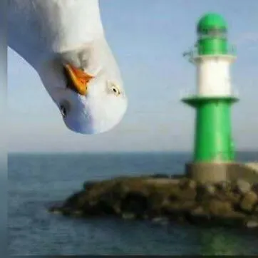 Fattoria Di Anja E Marco Holiday home