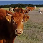 Fattoria Di Anja E Marco