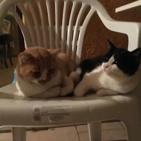 Fattoria Di Anja E Marco Nyaraló Costa Rei