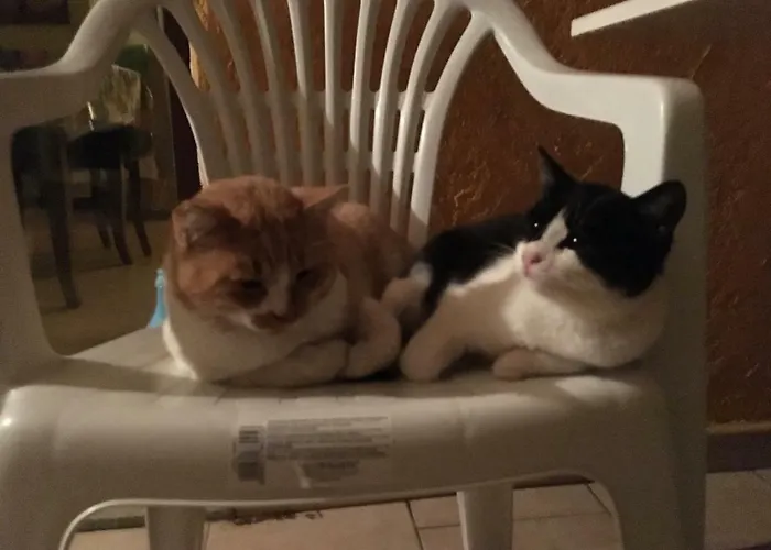 Fattoria Di Anja E Marco Tatil Evi Costa Rei